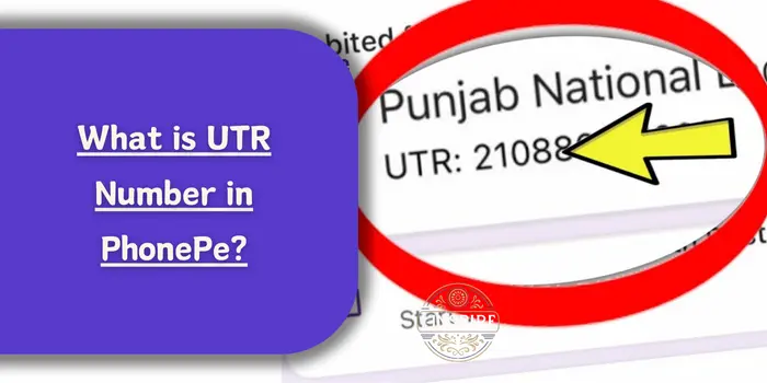 What is UTR Number in PhonePe?